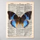 Zoek naar blauwe vlinders posters Illustratie