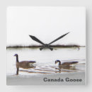 Zoek naar watervogels klokken Elk persoon