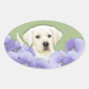 Zoek naar labrador puppy stickers Geel