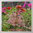 Zoek naar allium kunst Tuin