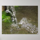 Zoek naar algen posters Water
