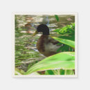 Zoek naar eenden servetten Vogel