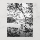 Zoek naar vietnam briefkaarten Natuur