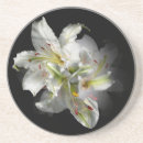 Zoek naar zuiver onderzetters Zwart