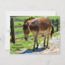 Zoek naar ezelen briefkaarten Boerderij