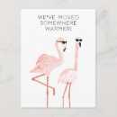 Zoek naar leuke flamingo briefkaarten Trendy