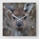 Zoek naar australië klokken Wild