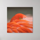 Zoek naar roze flamingo kunst Fotografie