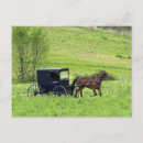 Zoek naar amish briefkaarten Ohio
