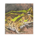 Zoek naar gewervelde dieren posters Één