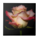 Zoek naar hoop tegels Vrede