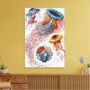 Zoek naar biologie kunst Ernst haeckel