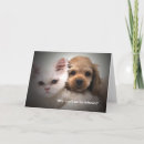 Zoek naar waarom briefkaarten Vriend