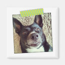 Zoek naar magneten Geel