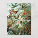 Zoek naar ernst haeckel briefkaarten Biologie