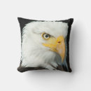Zoek naar adelaars kussens Vogel