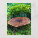 Zoek naar paddestoelen posters briefkaarten Groen