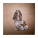 Zoek naar basset honden tegels Ras