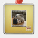 Zoek naar cafeïne ornamenten Ik kan cheezburger hebben