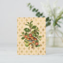 Zoek naar vintage botanical briefkaarten Bladeren