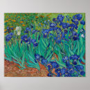 Zoek naar iris bloem posters Van gogh