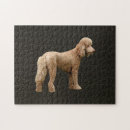 Zoek naar poodle puzzels Gezelschapsdieren
