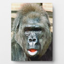 Zoek naar funny fotoplaat Schattig