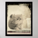 Zoek naar perzische kat posters Moeder