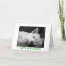 Zoek naar westie verjaardagskaarten kaarten Terriër