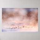 Zoek naar winter scène posters Voor iedereen