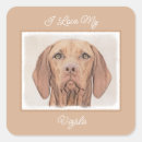 Zoek naar vizsla stickers Hongaarse aanwijzer