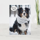 Zoek naar australische herder kaarten Voor iedereen