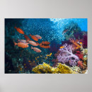 Zoek naar onderzeeër posters Boot