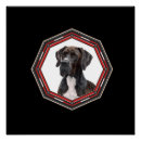Zoek naar groot formaat posters Hond