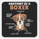 Zoek naar anatomie stickers Honden