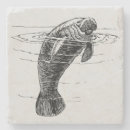 Zoek naar manatee onderzetters Voor iedereen