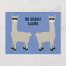 Zoek naar drama lama briefkaarten Voor iedereen