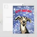 Zoek naar whippet briefkaarten Canine