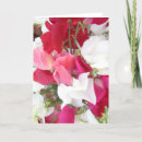 Zoek naar schatten kaarten Vriendschap