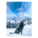 Zoek naar wolf in sneeuw posters Honden