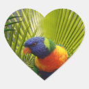 Zoek naar oranje vogel stickers Tropisch