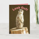 Zoek naar meerkat kaarten Schattig