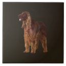 Zoek naar iers tegels Rood