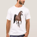 Zoek naar arabian horse kleding Arabians
