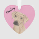 Zoek naar rhodesian ridgeback ornamenten Kerstmis