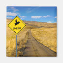 Zoek naar varkens magneten Varken met vleugels