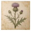 Zoek naar distel tegels Vintage