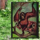 Zoek naar wilde dieren afbeeldingen briefkaarten Voor hem