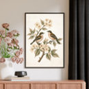 Zoek naar vintage vogels posters Voor iedereen