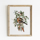 Zoek naar botanische vintage posters Voor haar